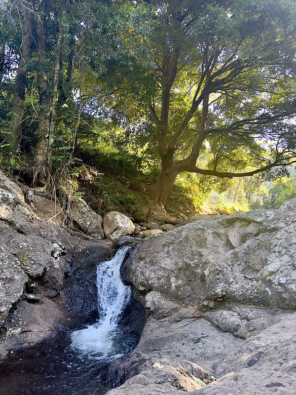 Huonbrook Valley景观